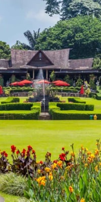 Full Day Bogor Botanical Garden And Puncak Highland Tour